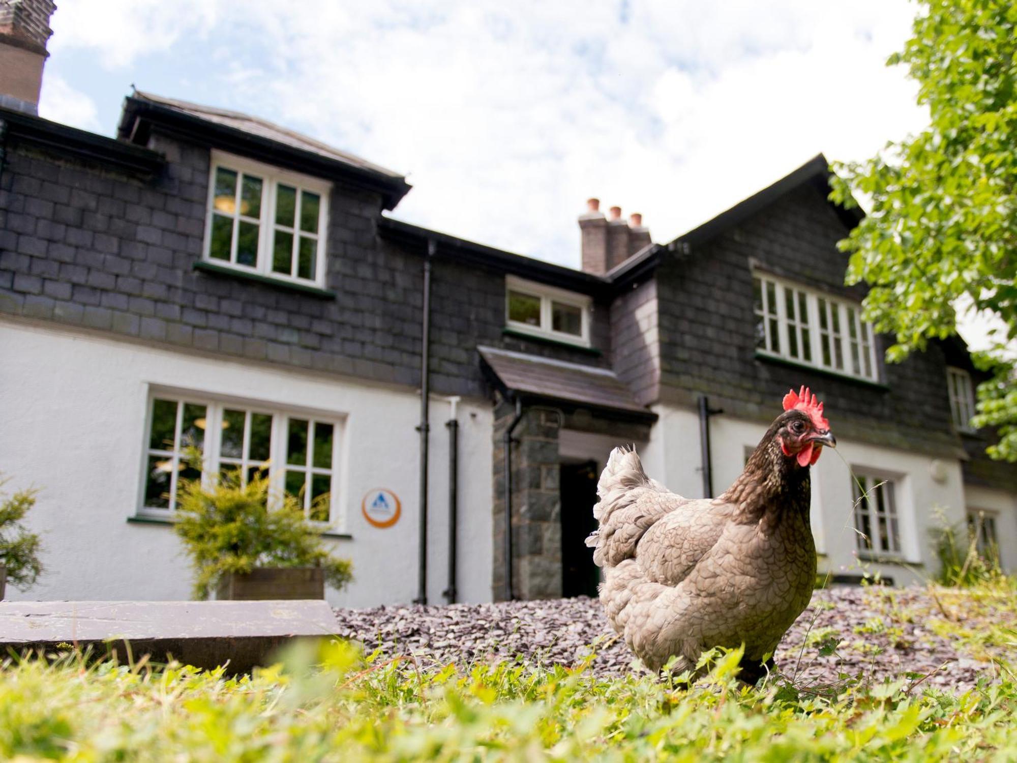 Yha Idwal Cottage Бетесда Экстерьер фото