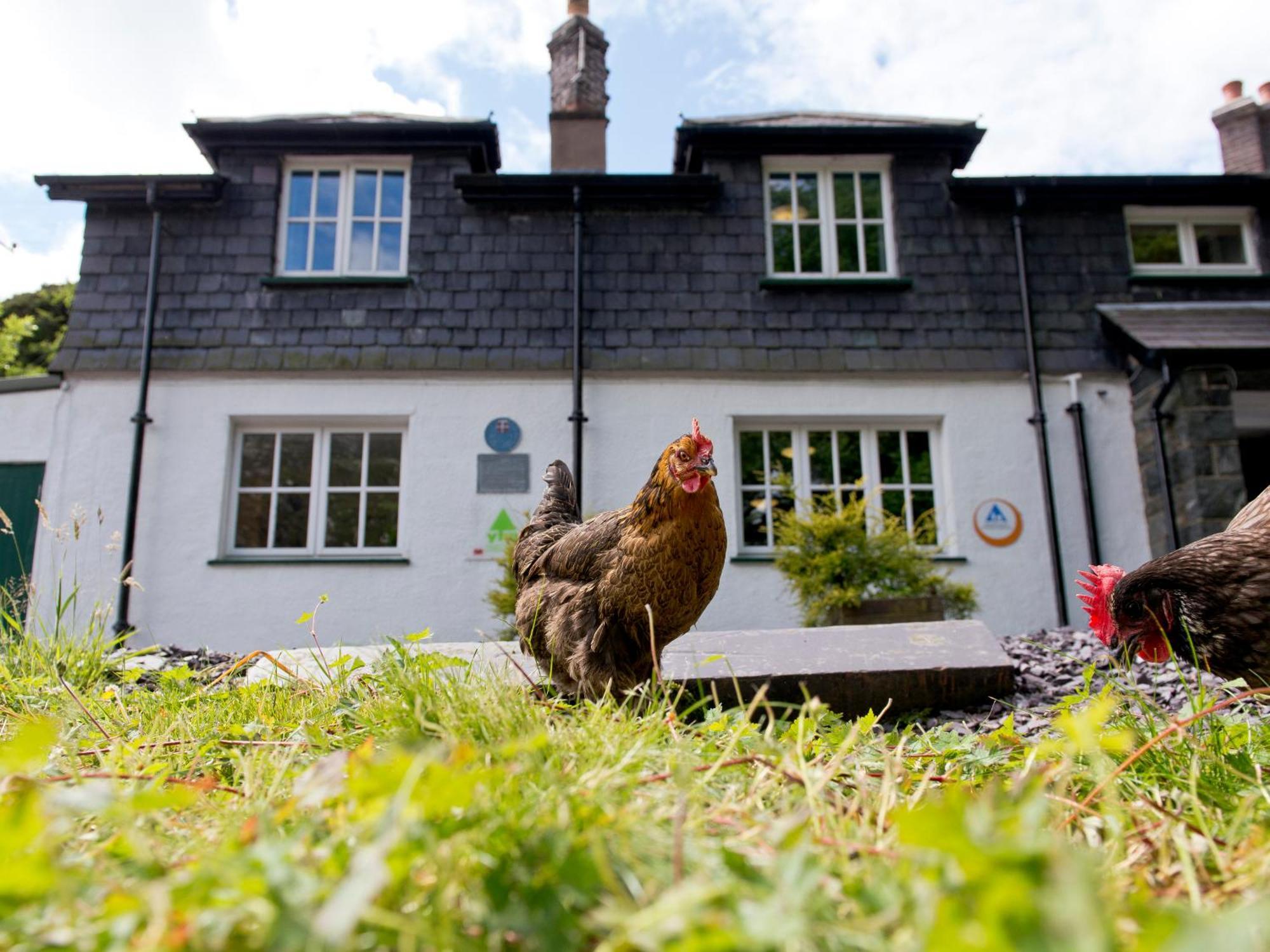 Yha Idwal Cottage Бетесда Экстерьер фото